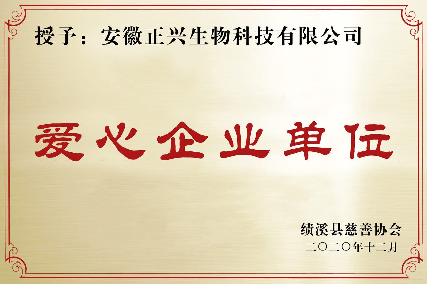 爱心企业荣誉