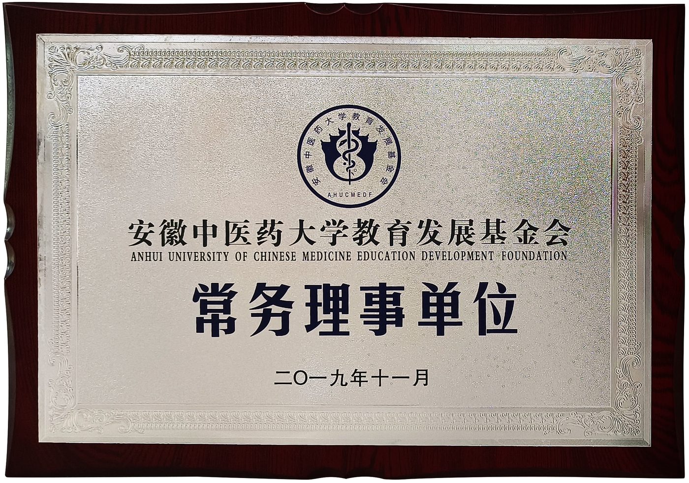 安徽中医药大学常务理事单位