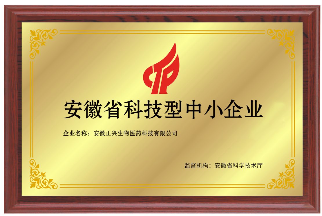 安徽省科技型中小企业