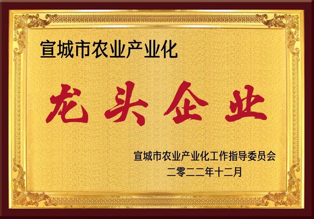 龙头企业荣誉